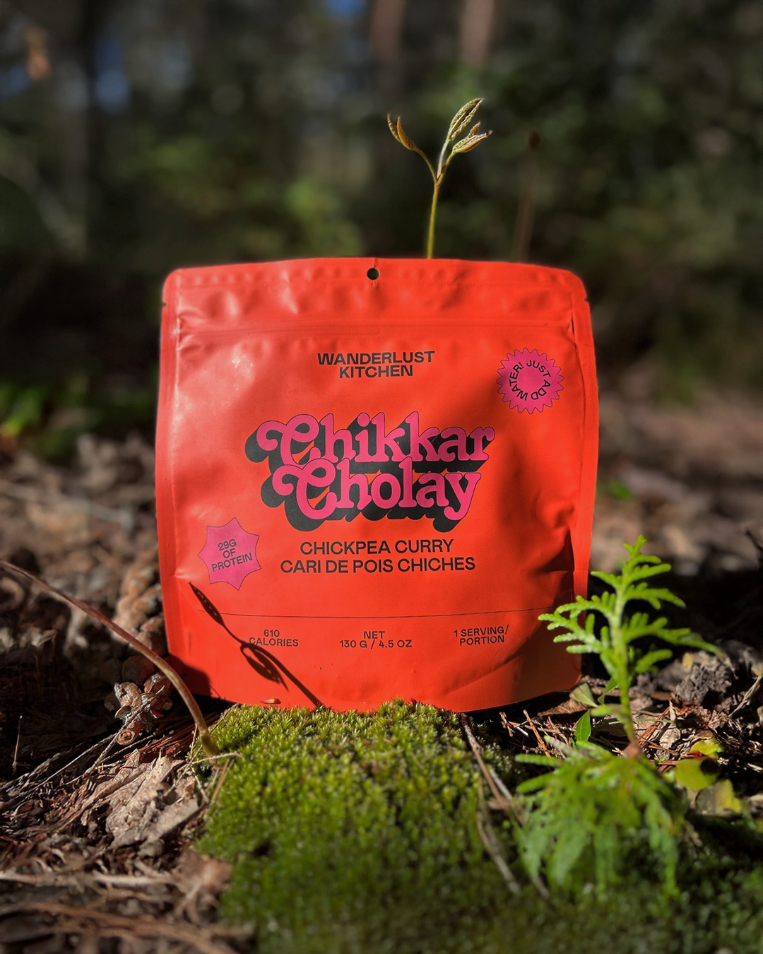 Chikkar Cholay – Chickpea Curry