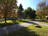 Campsites 1 Hour from Toronto (Yes, Actual Toronto!) - Campa